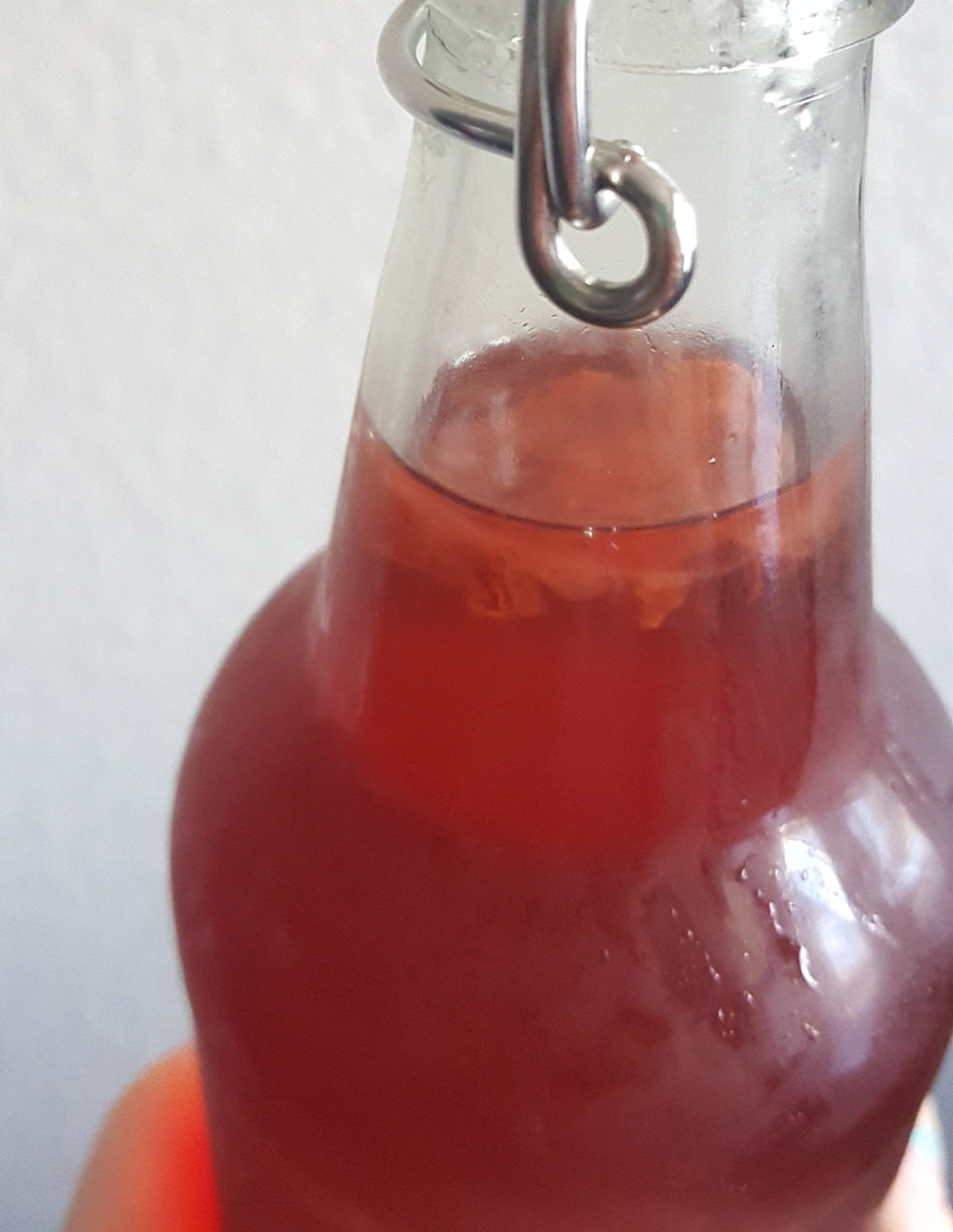 Small SCOBY floating near the surface of red kombucha in a glass flip-top bottle.