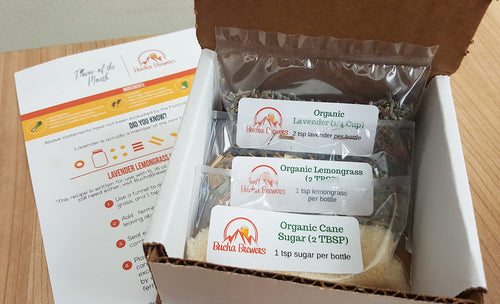 Kombucha Second Fermentation Flavor Packs