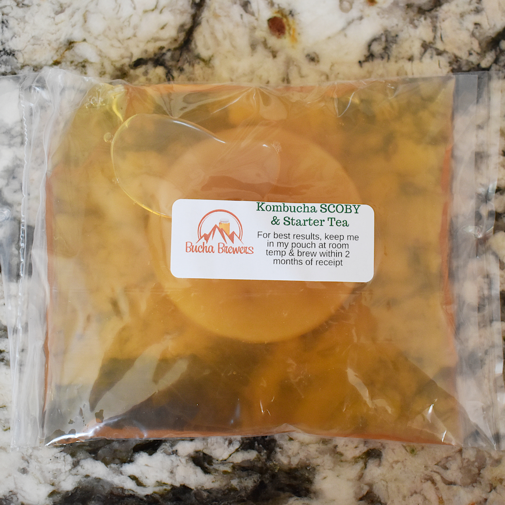 Kombucha SCOBY with 8 Ounces Starter Tea image 1